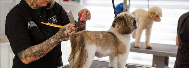 Tail-wagging care every time