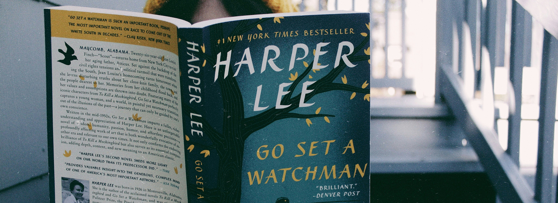 Happiness is a full bookshelf