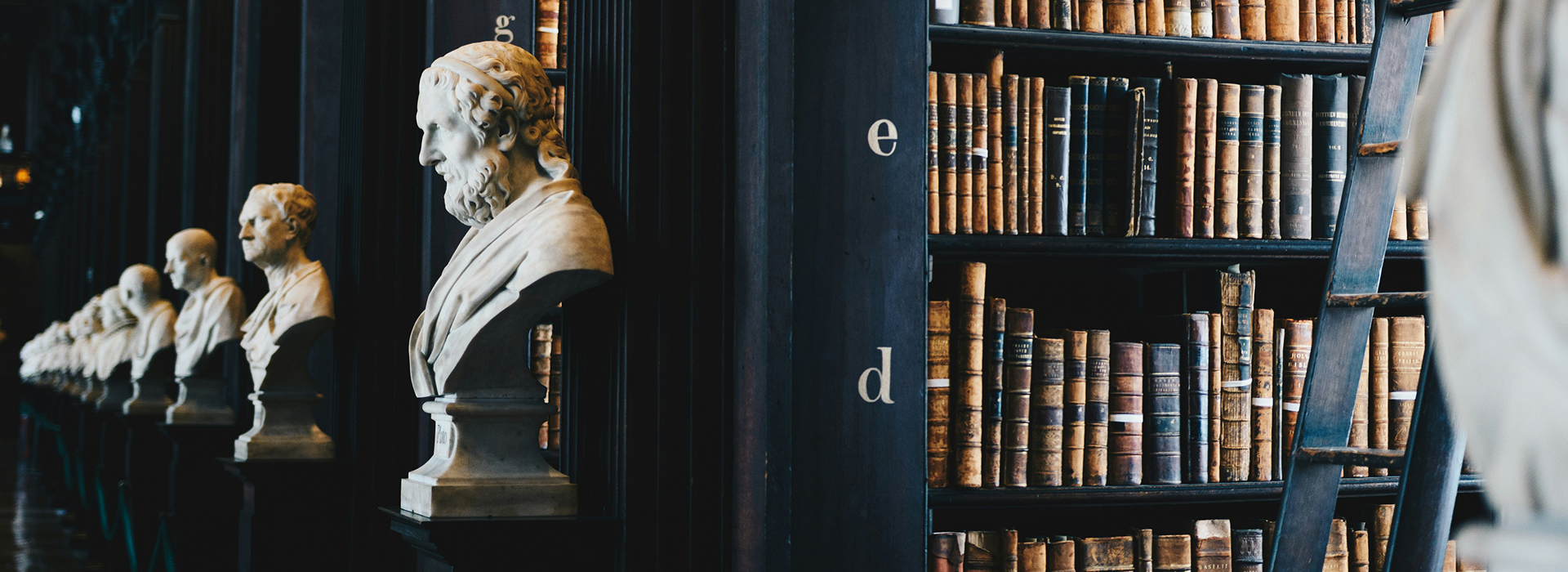 A book a day keeps reality away