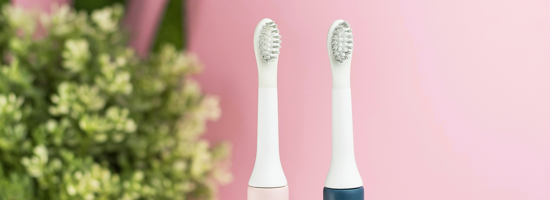 Great days start with clean teeth
